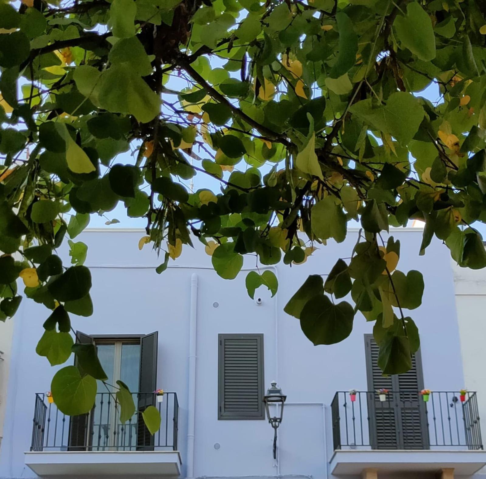 Storm Sonic House Apartment Palo del Colle Exterior photo